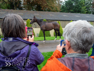 WG031025-61 - Jaramillo